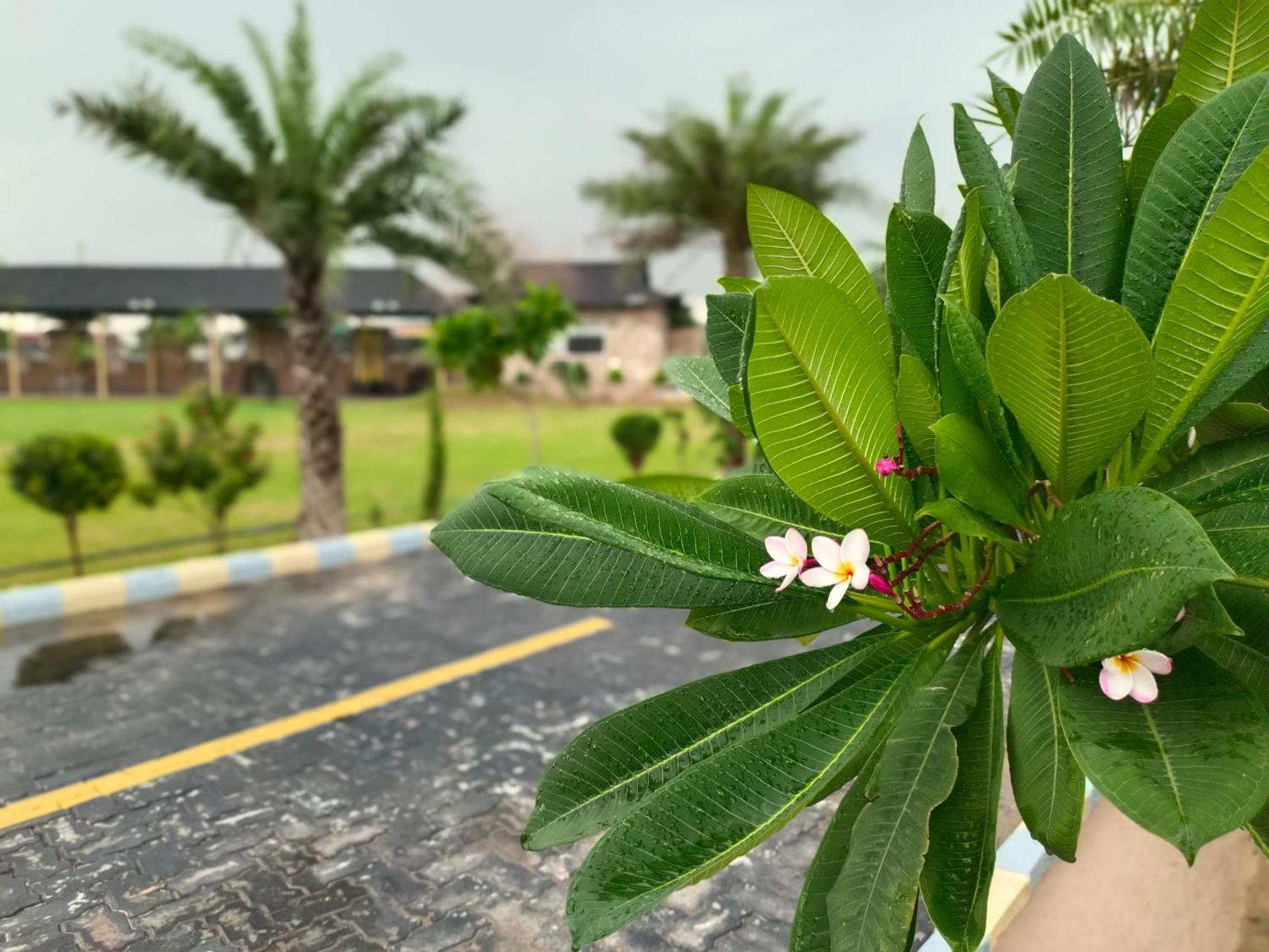 Royal Rajasthan Resort Sikar Buitenkant foto